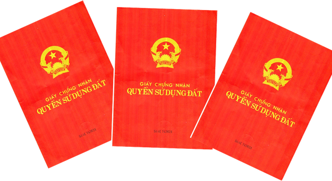 da_nang_sang_ten_giay_do_chi_trong_10_ngay