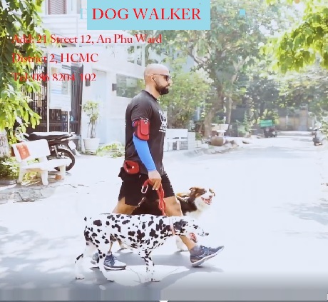DOG-WALKING