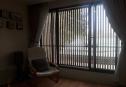 house for rent thao dien 10