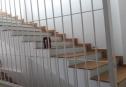 house for rent thao dien 22