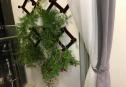 2 bedrooms for rent 11 7