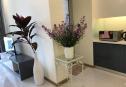 2 bedrooms for rent 16 3