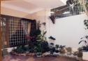 house for rent 26