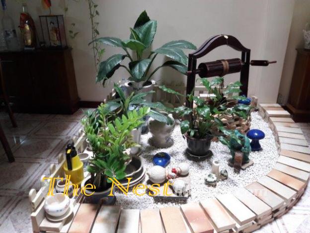house for rent 41