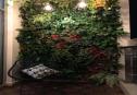 3 bedrooms for rent 17