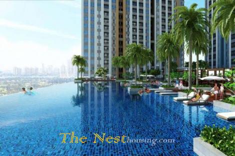 Modern apartment 1 bedroom for rent in Lexington