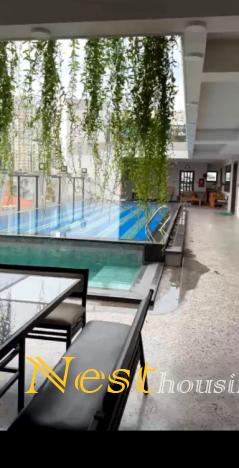 Penthouse with private swimming pool for rent in Thao Dien