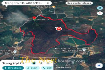 52Ha Đất Tân Phú, Đồng Nai trồng cây cao su đang khai thác lấy mủ. 220ti