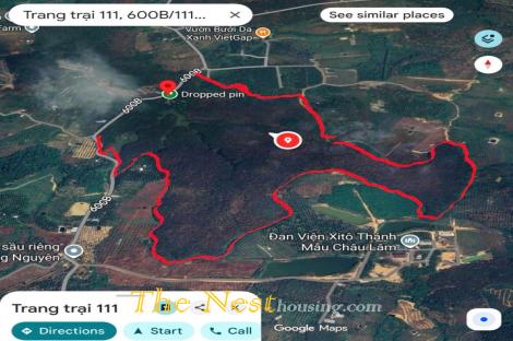 52Ha Đất Tân Phú, Đồng Nai trồng cây cao su đang khai thác lấy mủ. 220ti