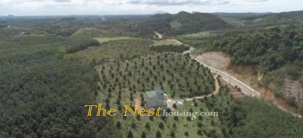 52Ha Đất Tân Phú, Đồng Nai trồng cây cao su đang khai thác lấy mủ. 220ti