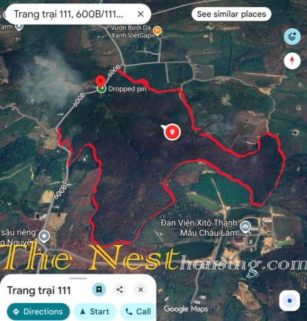 52Ha Đất Tân Phú, Đồng Nai trồng cây cao su đang khai thác lấy mủ. 220ti