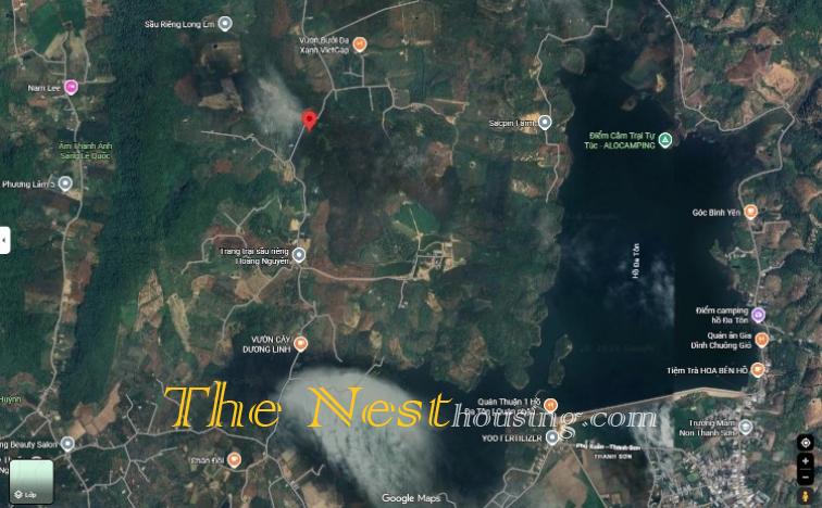 52Ha Đất Tân Phú, Đồng Nai trồng cây cao su đang khai thác lấy mủ. 220ti