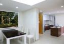 apartment for rent Thao dien 2
