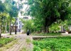house-for-rent-thao-dien