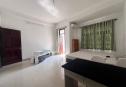 House for rent in Baao Chi Thao Dien, Distric 2