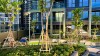 Luxury apartment 2 bedrooms for rent in Lumiere Riverside