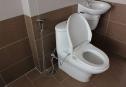 IMG 6643