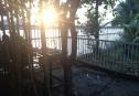 house for rent thao dien 28