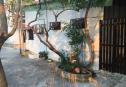 house for rent thao dien 7
