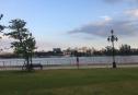 2 bedrooms for rent 8 12