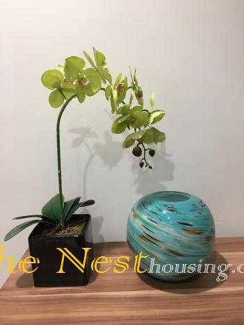2 bedrooms for rent 13 5