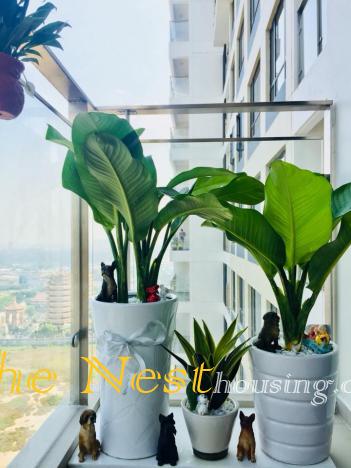 3 bedrooms for rent 23