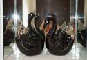2 Shoes Copy