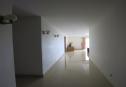IMG 1968