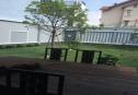 Garden 1
