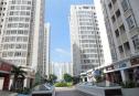 tong quan can ho green valley