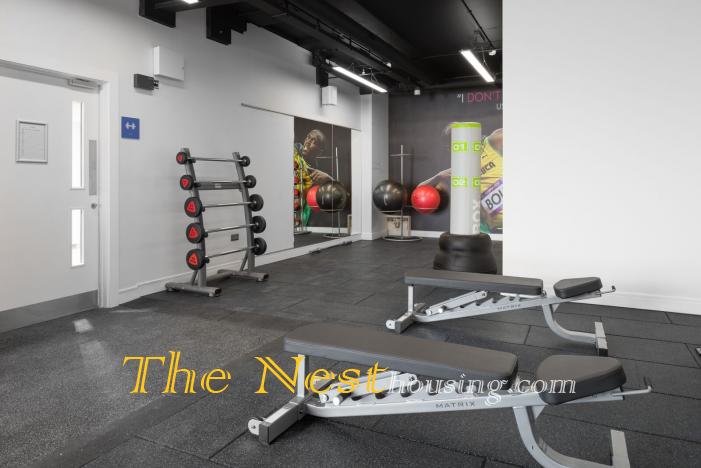 The Ascent Gym 3