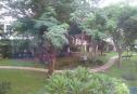 IMG20160620134539 Copy