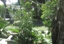 IMG 3041 Copy