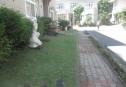 IMG 3042 Copy