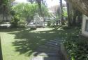 IMG 3043 Copy