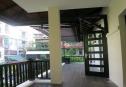 IMG 6511 Copy 1