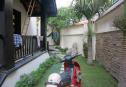 IMG 6535 Copy