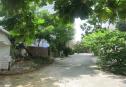 IMG 6822