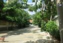 IMG 6823