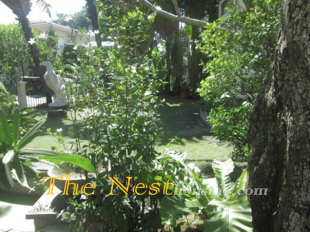 IMG 3041 Copy