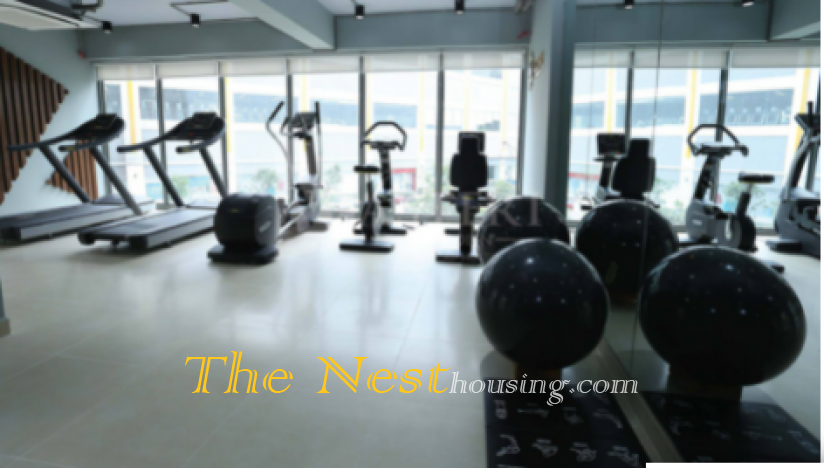 Masteri Thao Dien - 2 bedrooms for rent