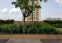TROPIC GARDEN  - 2 bedrooms for rent