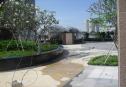 Modern apartment for rent in Xi Riverview Palace