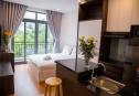 ​​​​​​​Serviced apartment for rent in Thao Dien