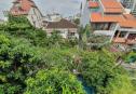 Villa for rent in Thao Dien - private swimming pool