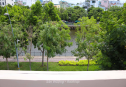 Nhà mặt tiền Hoàng Sa cho thuê
