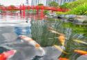 Facilities vinhomes central park 3 1