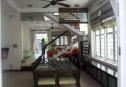 nice house in thao dien  2