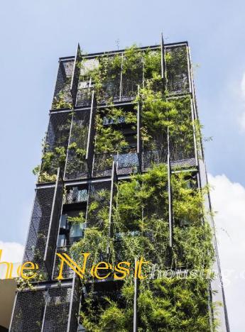 SERVICE APARTMENT IN D1 - 1 BEDROOMS FOR RENT