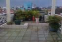 Picture 009